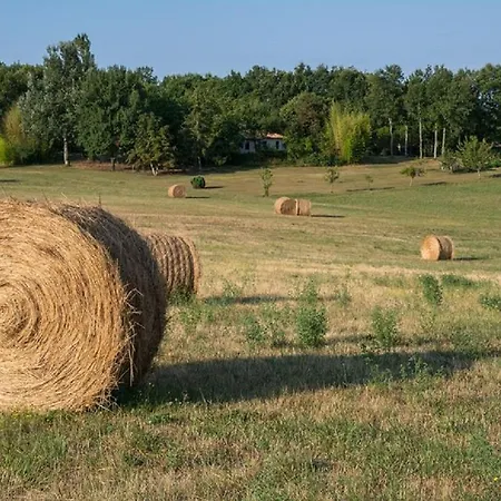 別荘 Le P'tit Bassoul Ouvert Toute L'annee Cenevieres