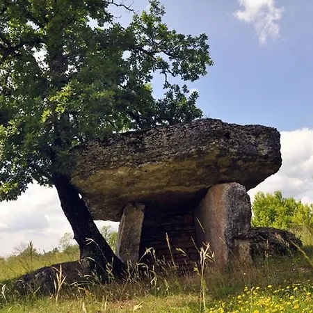 Le P'tit Bassoul Ouvert Toute L'annee 別荘