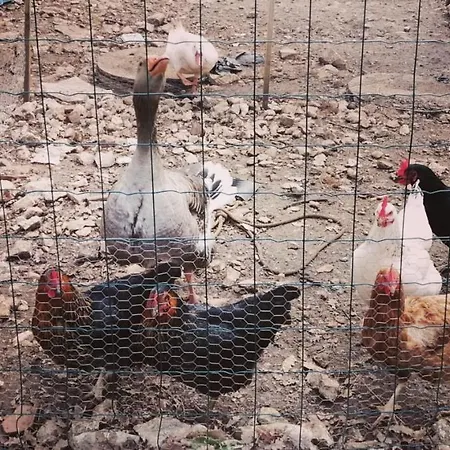 Le P'tit Bassoul Ouvert Toute L'année Casa vacanze Cenevieres