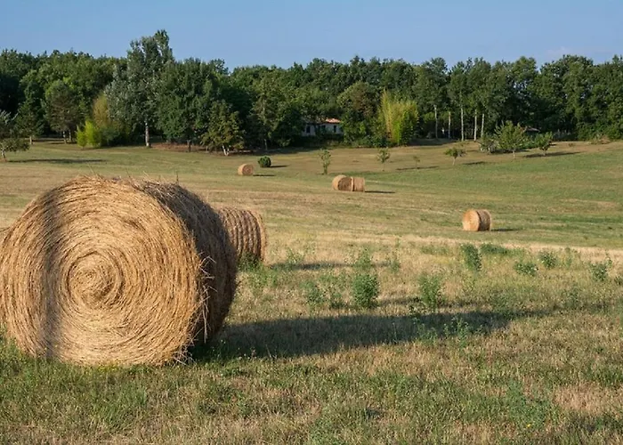 Дом отдыха Le P'tit Bassoul Ouvert Toute L'annee Cenevieres