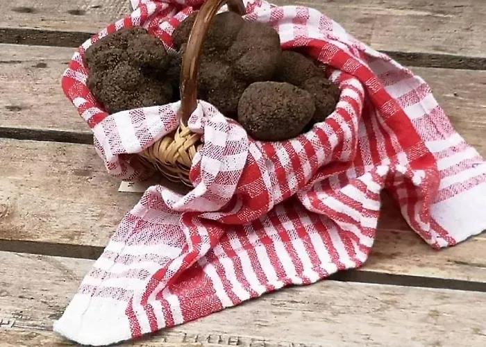 Le P'tit Bassoul Ouvert Toute L'année Сasa de vacaciones *