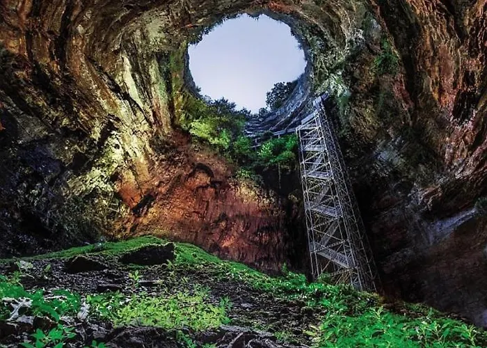 Le P'tit Bassoul Ouvert Toute L'année *