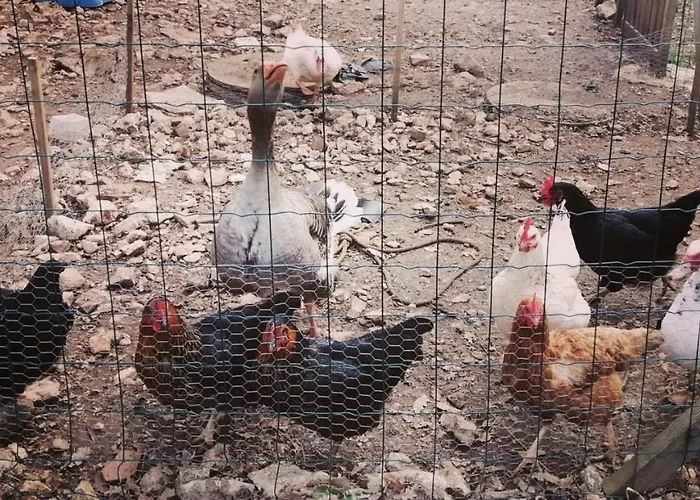 Le P'tit Bassoul Ouvert Toute L'année Сasa de vacaciones Cenevieres